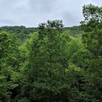 Pounding Mill Creek Estates ico