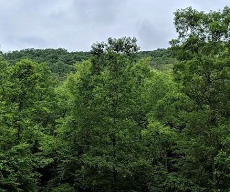 Pounding Mill Creek Estates