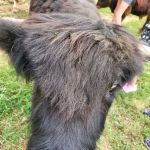 Mountain Meadows Lodge