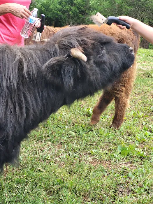 Mountain Meadows Lodge Picture 2