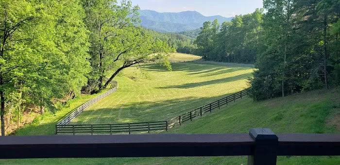 Boggs Hollow Picture 1