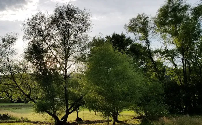 Big Bear's RV Park Picture 5