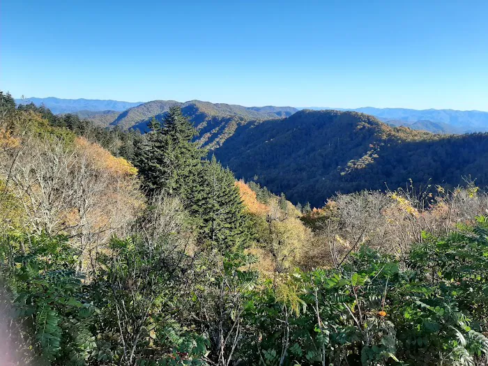 Deep Creek Tube Center & Campground Picture 4