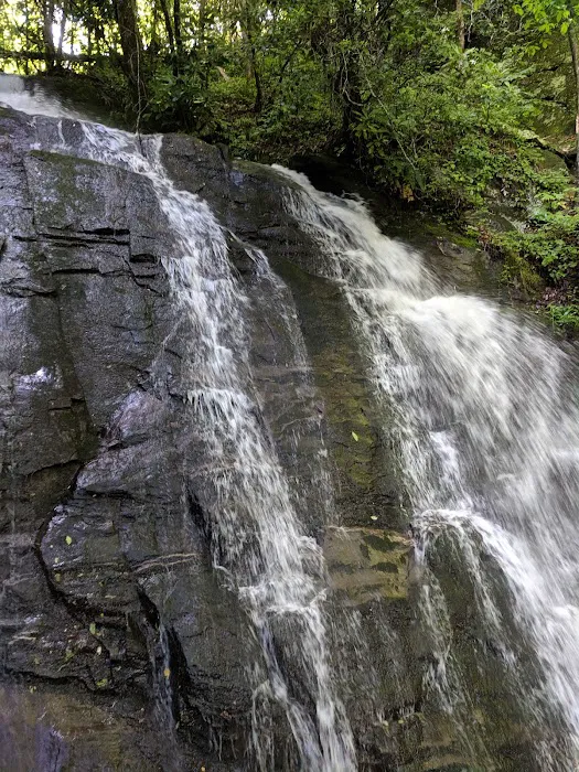 Deep Creek Tube Center & Campground Picture 8