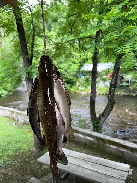 Smoky Mountain Campground Picture 2