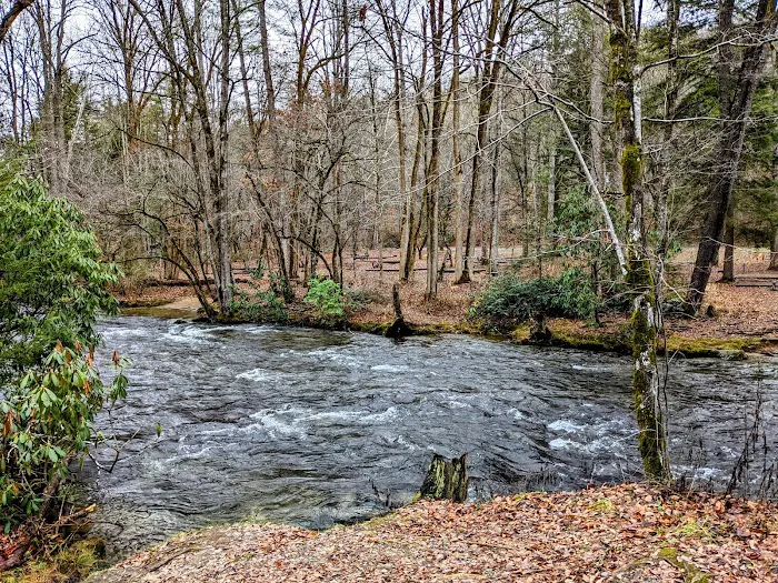 Deep Creek Campground Picture 1