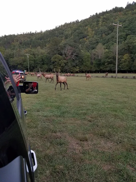 Welch Family Campground Picture 3