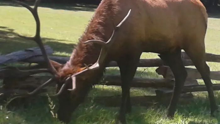 Welch Family Campground Picture 1