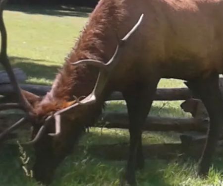 Welch Family Campground