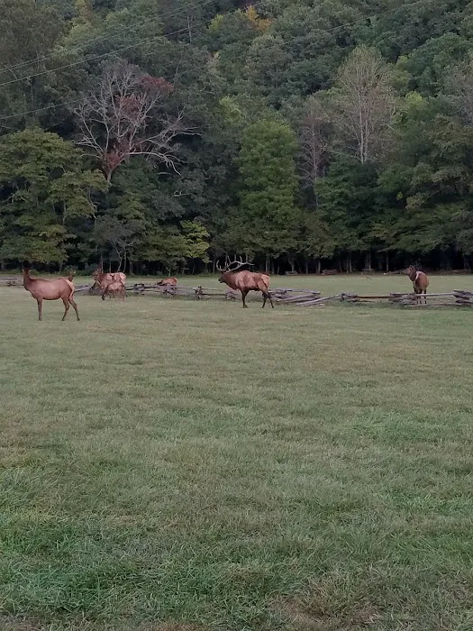 Welch Family Campground Picture 4