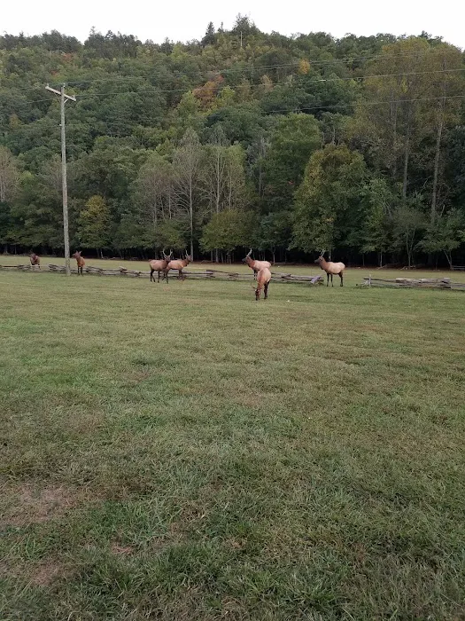 Welch Family Campground Picture 7