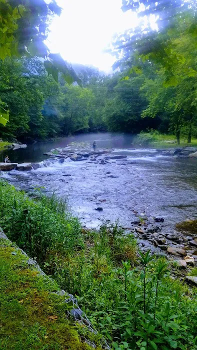 Standingdeer Campground Picture 7