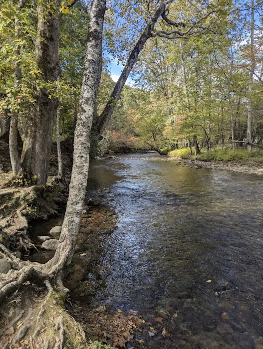 Standingdeer Campground Picture 5
