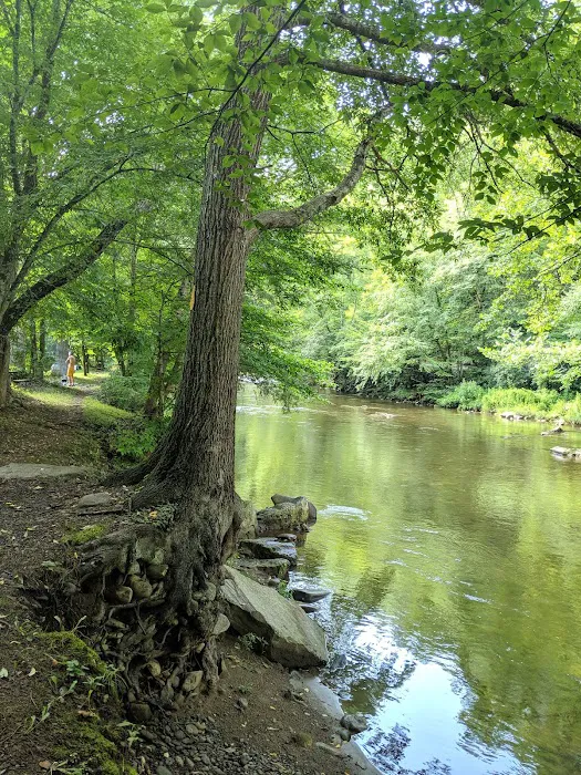 Standingdeer Campground Picture 6