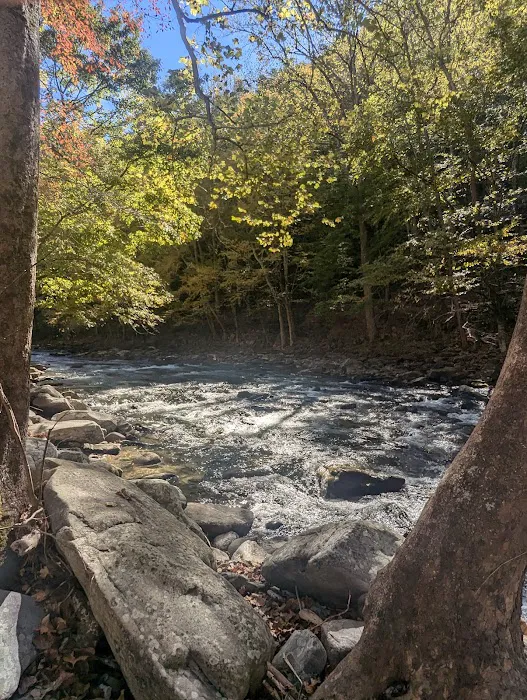 Standingdeer Campground Picture 9