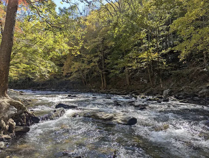 Standingdeer Campground Picture 10