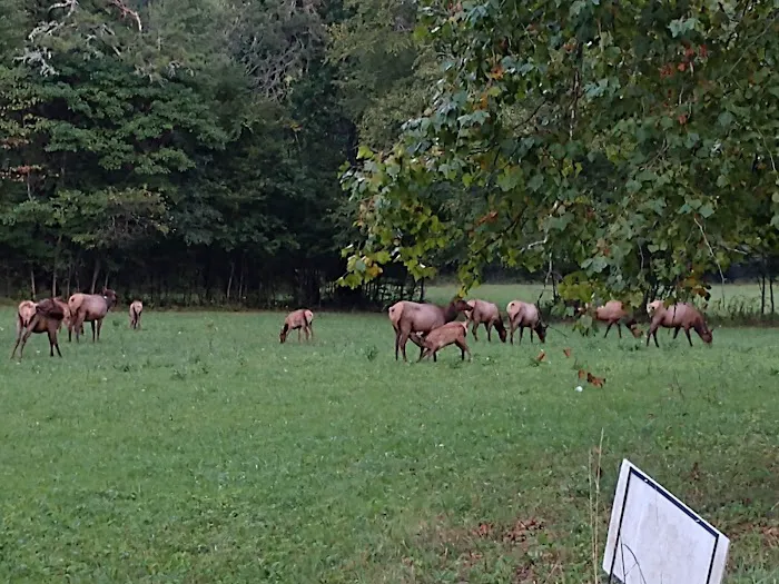 Tow String Horse Camp Picture 1