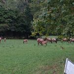 Tow String Horse Camp