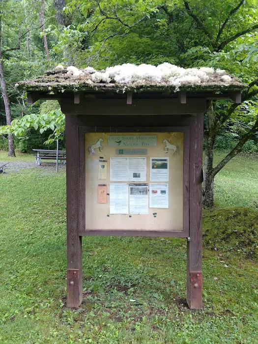 Tow String Horse Camp Picture 2