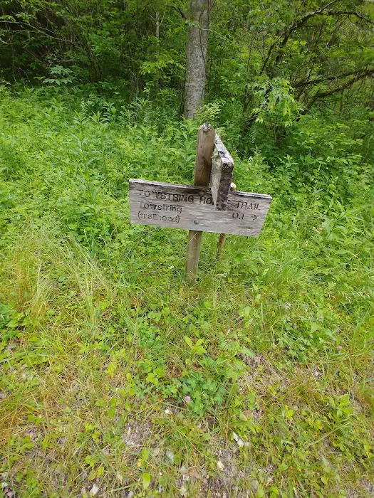 Tow String Horse Camp Picture 8