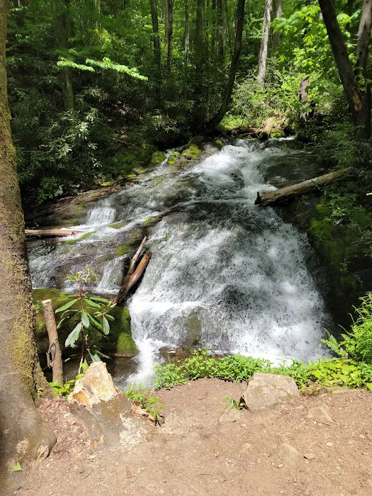 Tow String Horse Camp Picture 7