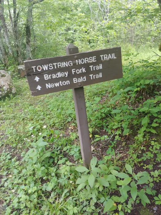 Tow String Horse Camp Picture 9