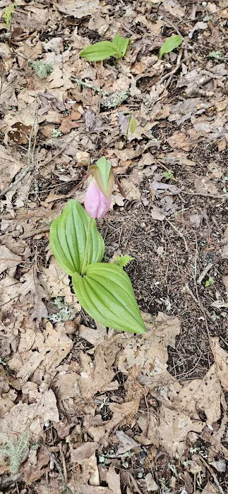 Backcountry Camp 52 Picture 2