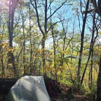 Backcountry Camp 52 ico