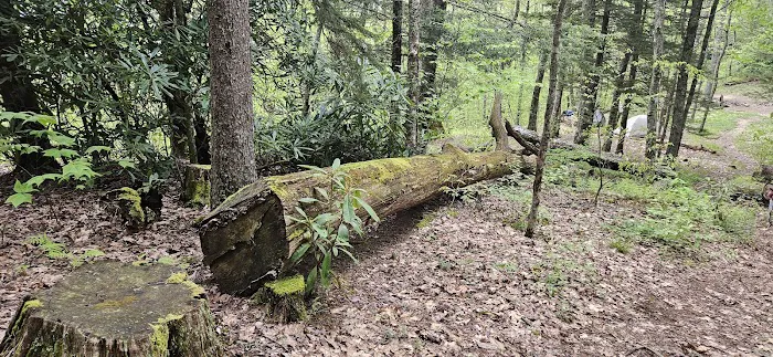 Backcountry Camp 52 Picture 8