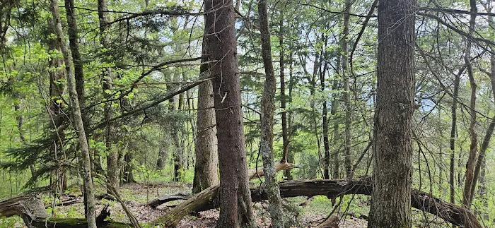 Backcountry Camp 52 Picture 10