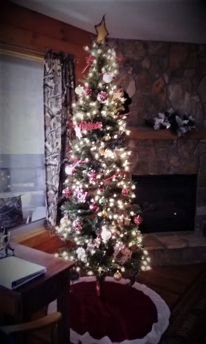 Hummingbird Loft Picture 9