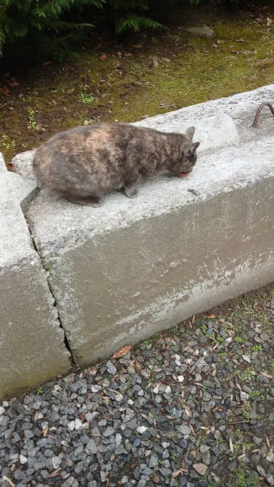 Tiny House - Gina's Great Getaways Picture 5