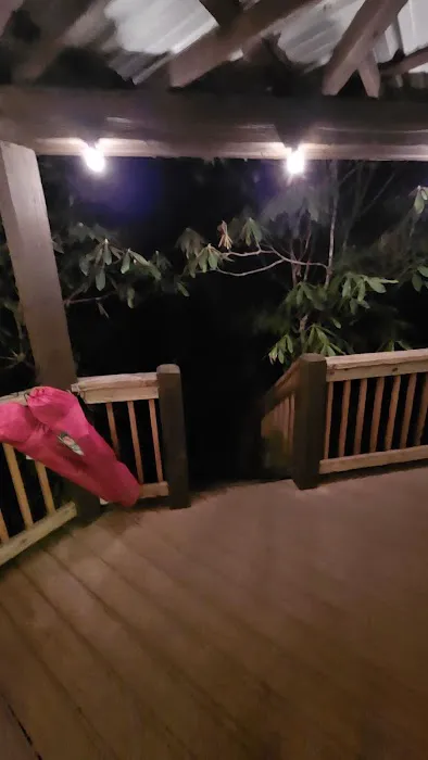 Tiny House - Gina's Great Getaways Picture 7