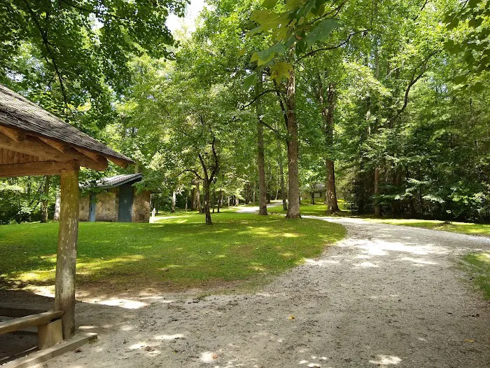 Appletree Group Campground Picture 2