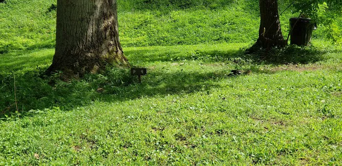 Appletree Group Campground Picture 9