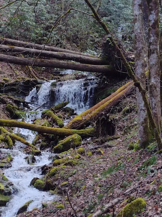 Nantahala Hideaway Campground & Cabins. Formerly Nelsons Nantahala Hideaway Picture 2