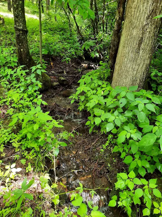 Nantahala Hideaway Campground & Cabins. Formerly Nelsons Nantahala Hideaway Picture 5