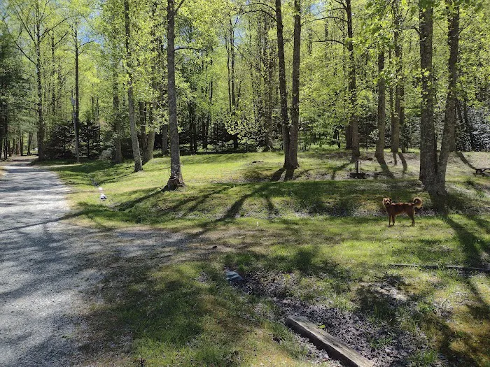 Nantahala Hideaway Campground & Cabins. Formerly Nelsons Nantahala Hideaway Picture 3