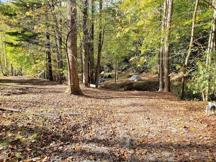 Nantahala Hideaway Campground & Cabins. Formerly Nelsons Nantahala Hideaway Picture 10