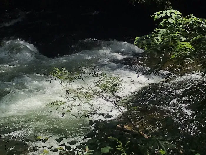 Brookside Campground & Rafting Picture 8