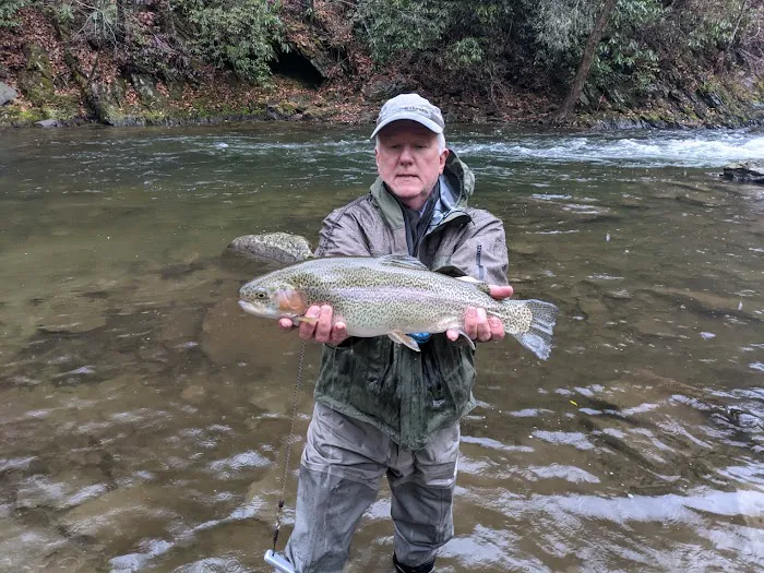 Nantahala River Lodge Picture 5