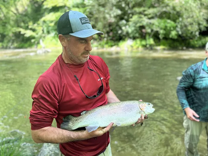 Nantahala River Lodge Picture 4