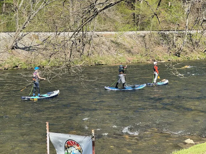 The HALA camping and lodge Picture 10