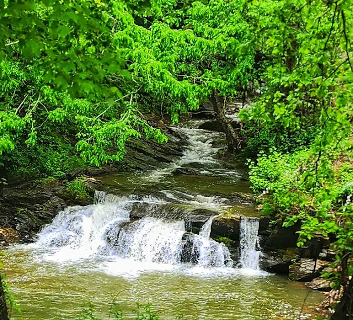 NOC campsite A Picture 2