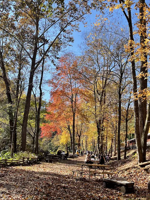 NOC campsite A Picture 4