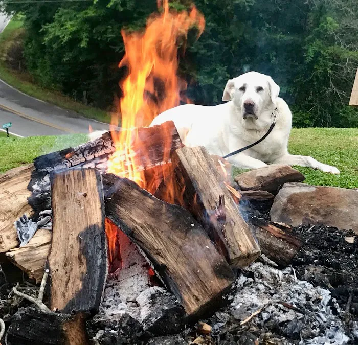 Mountain View Campground Picture 7