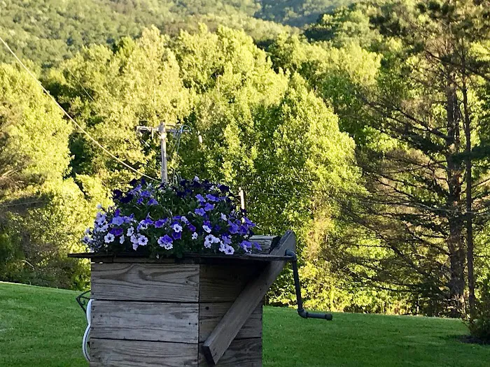 Mountain View Campground Picture 10