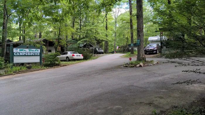 Mr Bud's Camp Ground Picture 1