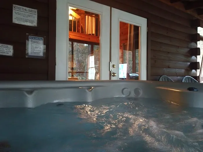 Love Bird Cabin Picture 4