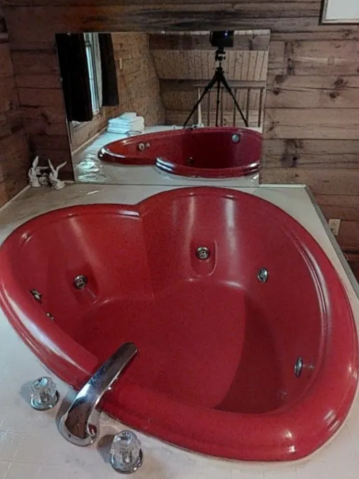 Love Bird Cabin Picture 9